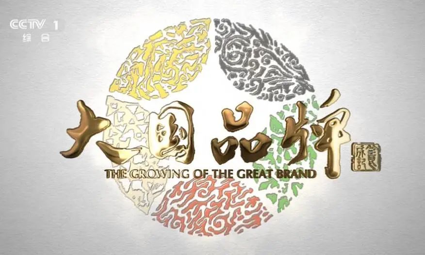 品牌的力量 | 順輝巖板牽手CCTV《大國(guó)品牌》
